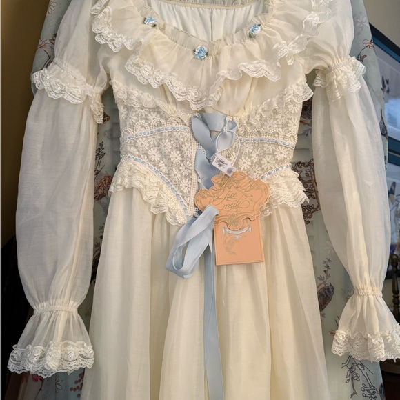 Lacemade Hydrangea Corset and Dress BNWT - Picture 14 of 16